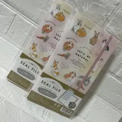 Item thumbnail for item e8f1ab03-c443-401a-868f-ce65fe710dd3