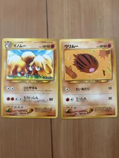ポケモンカード イノムー ウリムー 旧裏面