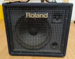 2026年最新】roland KC-100の人気アイテム - メルカリ