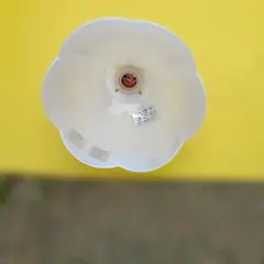 Item thumbnail for item fa26ff33-f147-4cf2-86b5-c0f947e33304