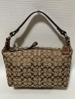希少色 COACH アクセサリーポーチ ワンショルダー シグネチャー 6348
