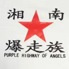 湘南爆走族 江口洋介 織田裕二 清水美砂 ビーバップハイスクール クールス 旧車