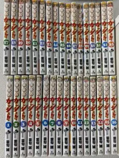 金色のガッシュ!! 全巻セット 1〜33巻　他2巻セット