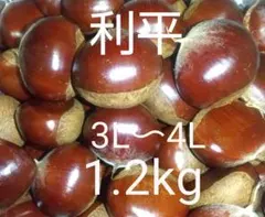 2025年最新】利平栗の人気アイテム - メルカリ