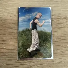 &team nicholas タレントカード