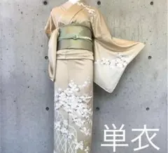 2025年最新】単衣 正絹 訪問着の人気アイテム - メルカリ