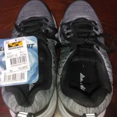 Item thumbnail for item 657d795e-9195-42d5-9abb-acfcd68f5ba8