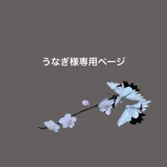 うなぎ様専用ページ