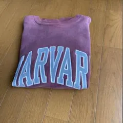 90Sヴィンテージ Champion リバースウィーブ ハーバード 刺繍タグ