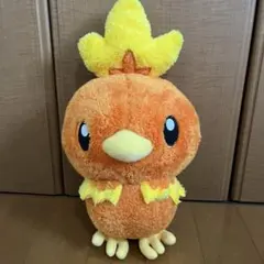 アチャモ　ぬいぐるみ　サイズ約35-49cm