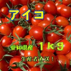 愛知県産　アイコ　1kgのサムネイル