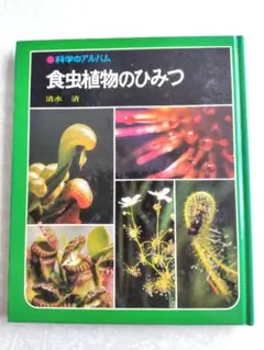 2025年最新】科学のアルバム あかね書房の人気アイテム - メルカリ