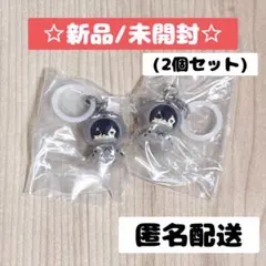ヒロアカ めじるしアクセサリー 相澤消太(新品)