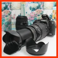 ☆はじめてのフルサイズ☆Canon EOS 6D 超望遠ダブルレンズセット ☆はじめてのフルサイズ☆Canon EOS 6D 超望遠トリプルレンズセット