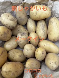 熊本県産 メークイン 無農薬栽培 10kg 新じゃが - メルカリ