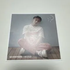 SEVENTEEN ウォヌ エントリーカード 舞い落ちる花びら - メルカリ