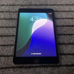 55【早い者勝ち】 iPad mini5 5世代 256GB スペースグレイ