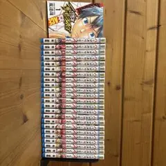 ハリガネサービスACE全巻セット 美品