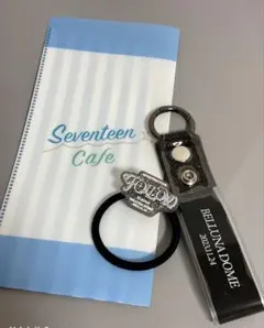 ベルーナドーム　セブンティーン　プレミアムシート　入場特典