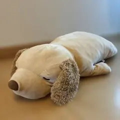 Item thumbnail for item cf449b02-79c2-4dcd-8ff6-58fca5949035