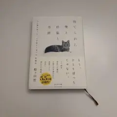 捨てられた僕と母猫と奇跡 : 心に傷を負った二人が新たに見つけた居場所