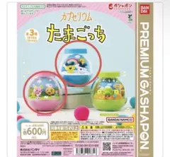 カプセリウム たまごっち まめっち みみっち ふらわっち