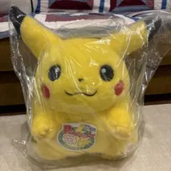 新品　ポケットモンスター ポケモン30周年記念　おかえり！ピカチュウ1/1
