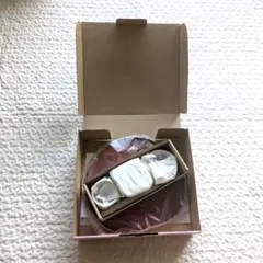 新品未使用　お食い初め御膳　食器セット　朱