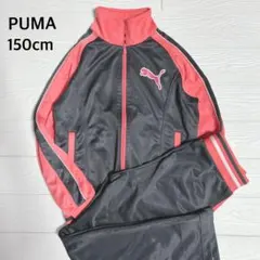 プーマ　ジュニア　トレーニングウエア　ジャージ上下　セットアップ　150