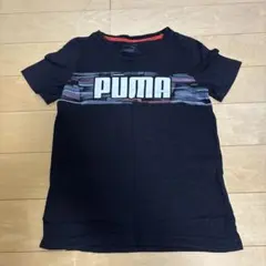 PUMA キッズ 半袖Tシャツ 140cmのサムネイル