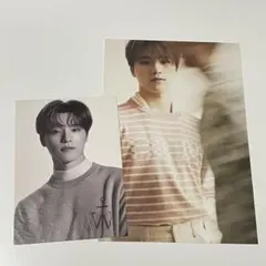 seventeen your choice ディノ ポストカード ミニカード