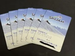 ma-ca様専用 SKIJAM スキー場利用券 大人用 2枚