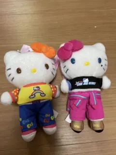 ハローキティスキーウェア 安比高原限定キティ　ぬいぐるみマスコット2つセット 安比高原限定 APPI ハローキティ スキーウェア ぬいぐるみ 2体セット