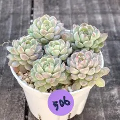 きよっさん様 リクエスト 2点 まとめ商品