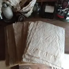 ⑤ジャンクジャーナル素材。トレペ味紙100枚セット