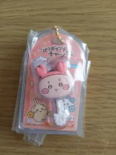 ちいかわ　ミニチュアチョコチャーム&チョコスナック　古本屋　カニちゃん