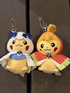 ポケモン ぬいぐるみ ヒノアラシ ポケパークカントー 202607021408