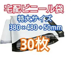 Item thumbnail for item 073ae1ad-cf4c-4458-8050-88f96b39ec68