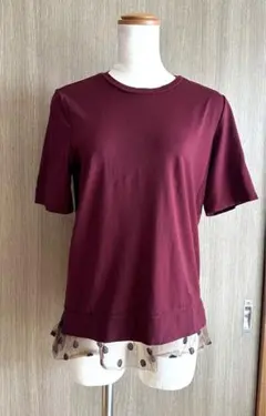 ミュベールワークMUVEIL WORKドットチュール半袖Tシャツのサムネイル