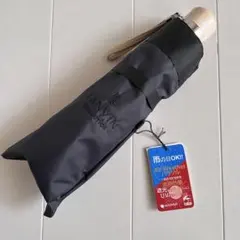 Item thumbnail for item 31a2b2ba-53e3-40c1-b01c-50a593d364fb