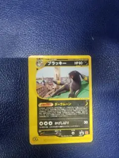 2025年最新】eカード ブラッキーの人気アイテム - メルカリ