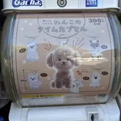 わんこのタイムカプセル 柴犬のキーホルダー
