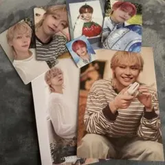 &TEAM NICHOLAS シーグリ 2025 2026 トレカ ポストカード