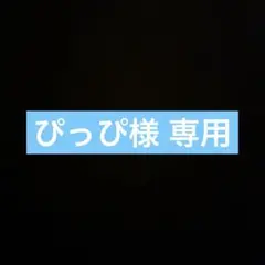 ぴっぴ様専用