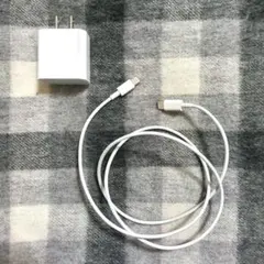 iPhone 急速20W電源セット　互換品