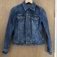 ロペピクニックGジャン