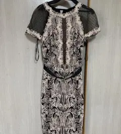 TADASHI SHOJI 刺繍レース ドレス サイズ2のサムネイル