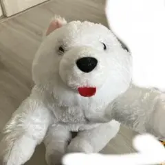 サモエドくん ねそべり ぬいぐるみのサムネイル