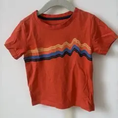 Patagonia オレンジTシャツ