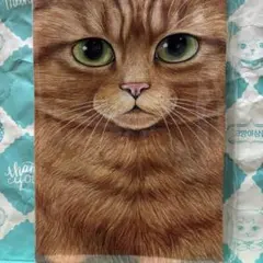 コヤンイサムチョン　赤ちゃん猫と友達　ファブリック　Vol.８「チーズ」